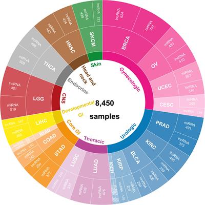 Reveal the Regulation Patterns of Prognosis-Related miRNAs and lncRNAs Across Solid Tumors in the Cancer Genome Atlas